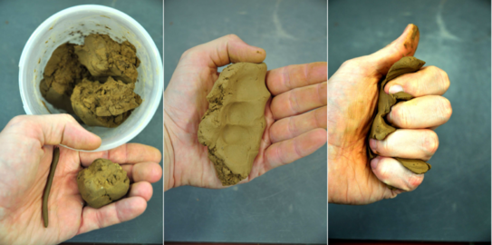 Das Bild zeigt die manuelle Untersuchung einer Bodenprobe durch Kneten mit der Hand.